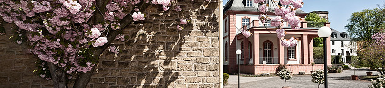Das Weingut der Vereinigten Hospitien Das Weingut der Vereinigten Hospitien